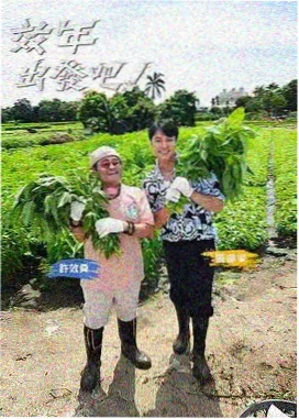三分离双卫三人间的卫浴与床位关系